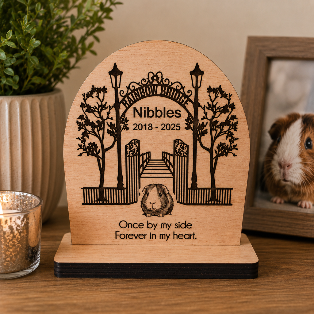 Personalised Pet Memorial Plaque Rainbow Bridge Photo Engraved Dog Cat Horse
